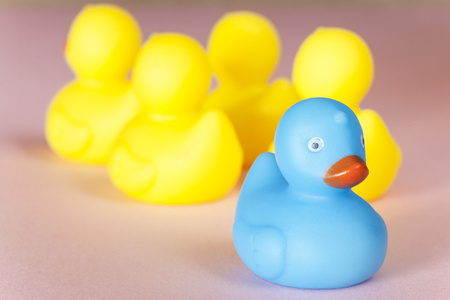Social exclusion and discrimination concept with different color rubber ducksの写真素材