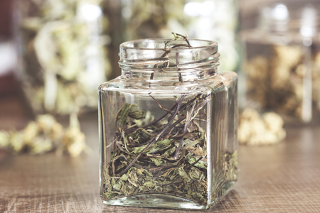 Herbal tea weedsの写真素材