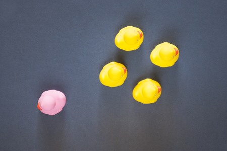 Racism, homophobia, discrimination and social exclusion concept with color rubber ducksの写真素材