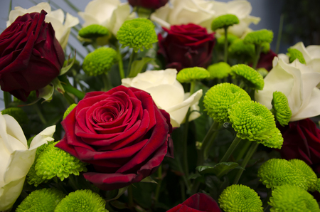 Flower Arrangementの写真素材