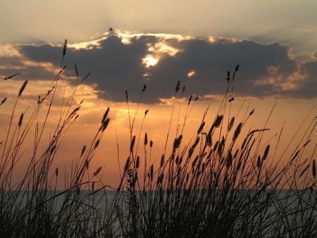 Evening cloudsの写真素材
