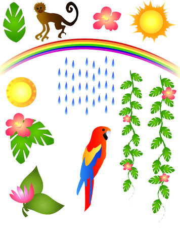 Tropical Elementsのイラスト素材