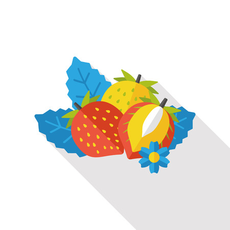 strawberry fruits flat iconのイラスト素材