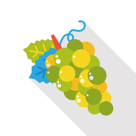 grape fruits flat iconのイラスト素材