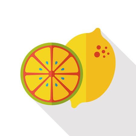 lemon fruits flat iconのイラスト素材