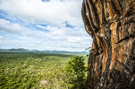 Mountain on the side of forestの写真素材