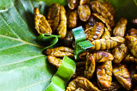 Fried Silk Worms