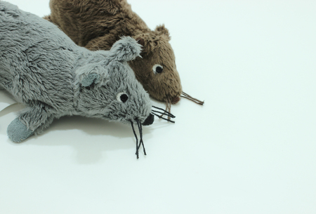 Two Toy Mice Isolated on the White Backgroundの写真素材