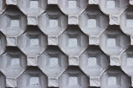 Close Up Egg Trayの写真素材