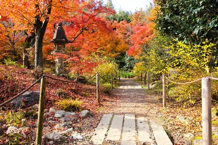 The Colorful Autumn Leaves, Kyoto, Japan