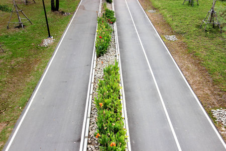 The way for walk, run and ride a bicycle in the park.