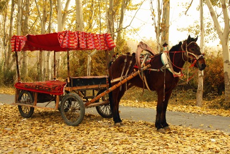 Horse and carriageのeditorial素材