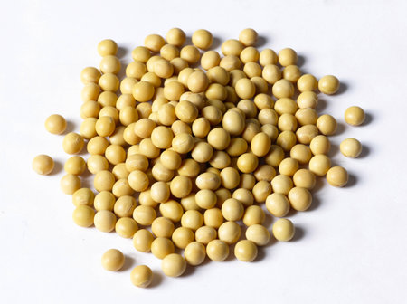 Closeup a heap of soybeanの写真素材