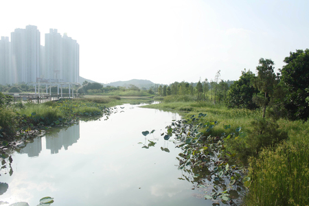 Wetland Park Hongkongのeditorial素材
