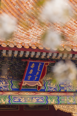 pear blossom in ShouKang Palace in the Forbidden Cityのeditorial素材