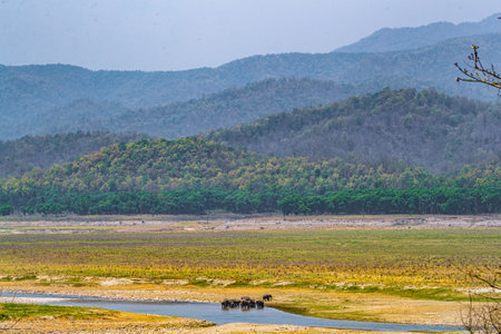 A Landscape with a herd of Elephants and a river
