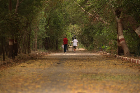 Photographer in action on a pathwayの写真素材