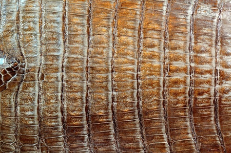Crocodile leather