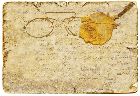 Vintage background with rose, old writing and pince nezのeditorial素材