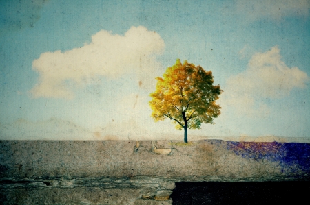 Surreal landscapes with single treeの写真素材