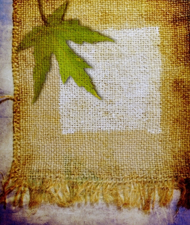 Jute painted  with water colors and maple leafの写真素材