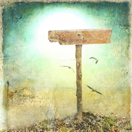 Worn blank wooden sign with flying birdsの写真素材