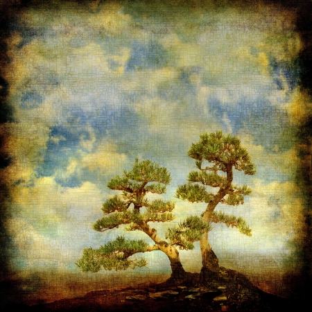 Two pines on vintage sky background.の写真素材