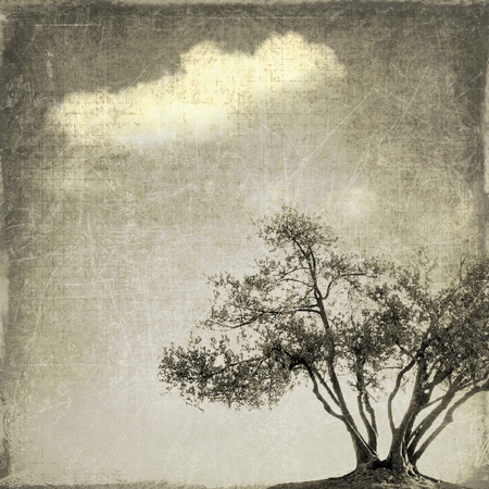 Surreal landscape with single tree in sepia tonesの写真素材