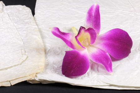 Purple orchid on stained crumple paper. Selective focus.の写真素材