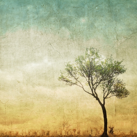Surreal single tree on cloudy sky with copy space.の写真素材