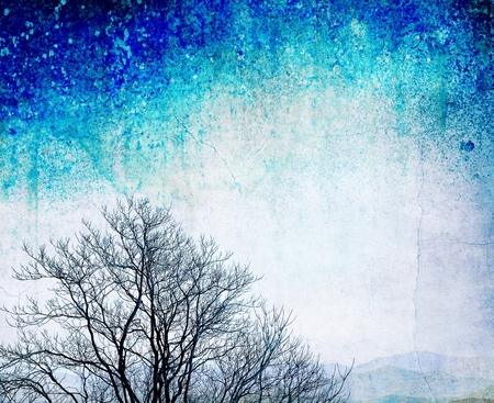 Grunge bare tree on textured blue backgroundの写真素材