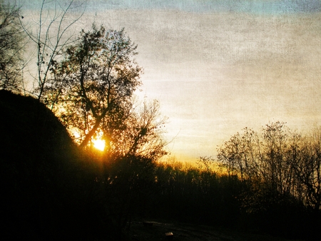 Sunset in nature with sun behind bare trees.の写真素材