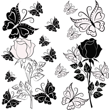 White, black rose with butterflies on a white backgroundのイラスト素材
