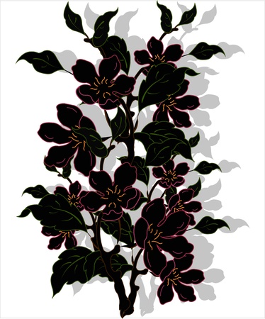 Black blossoming branch a rejecting shade on a white backgroundのイラスト素材