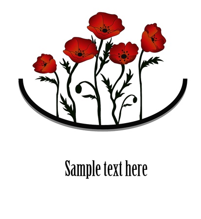 Bouquet from red poppies on a white backgroundのイラスト素材