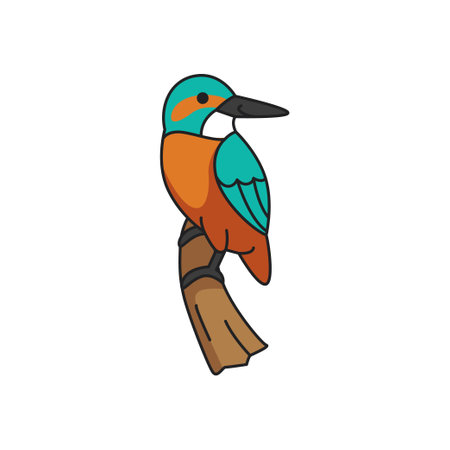 Kingfisher icon. Cartoon kingfisher vector icon for web design isolated on white backgroundのイラスト素材