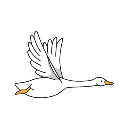Flying swan isolated on white background. Vector illustration in flat style.のイラスト素材