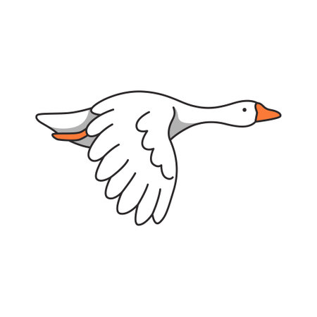 Vector illustration of a goose flying in the air on a white backgroundのイラスト素材
