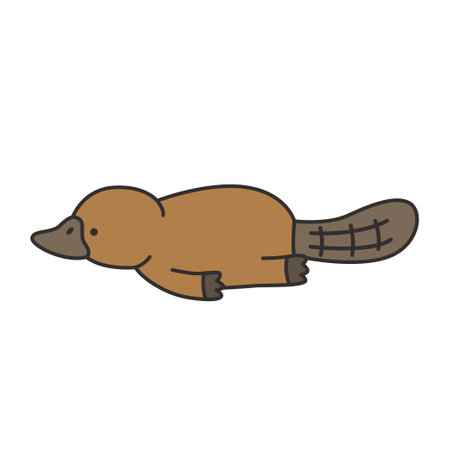 platypus icon. Cartoon illustration of platypus vector icon for webのイラスト素材