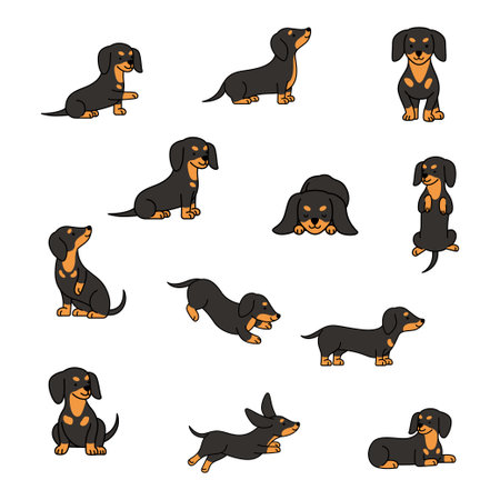 Cartoon dachshund dog icon set. Vector illustration.のイラスト素材