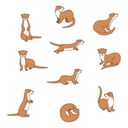 Cute weasel cartoon vector illustrationのイラスト素材