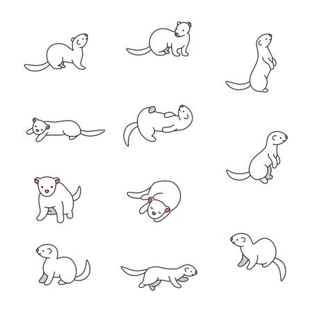 Set of cute cartoon ferrets on white background. Vector illustration.のイラスト素材