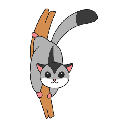 Cute sugar glider illustrationのイラスト素材