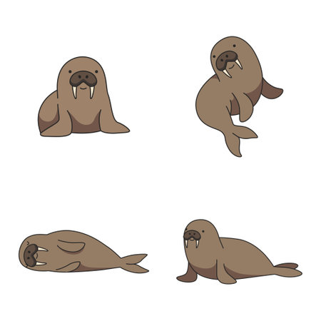 Set of cartoon seals isolated on white background. Vector illustration for your designのイラスト素材