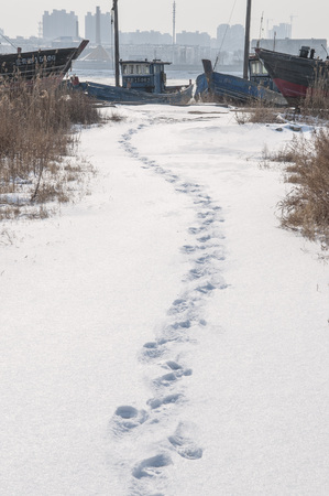 Footprints in the snowの写真素材