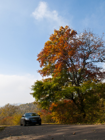 Maple Leaf Chinese Restaurant carのeditorial素材