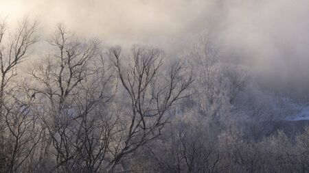 winter in China's Heilongjiang Xunke platform rime scenic areaの写真素材