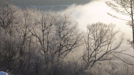 winter in China's Heilongjiang Xunke platform rime scenic areaの写真素材
