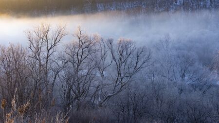 winter in China's Heilongjiang Xunke platform rime scenic areaの写真素材