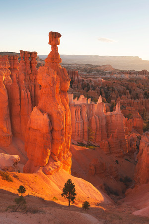 Bryce Canyon National Park, Utah, USAの写真素材